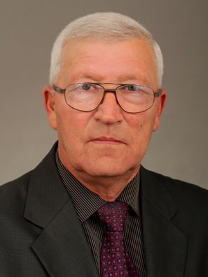 Anatoly N. Nekhaev