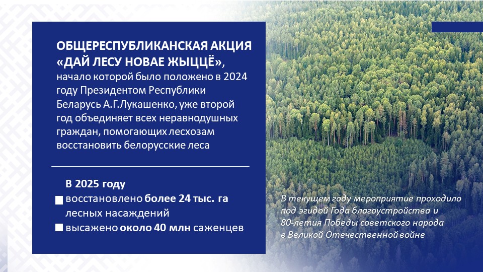Слайд10