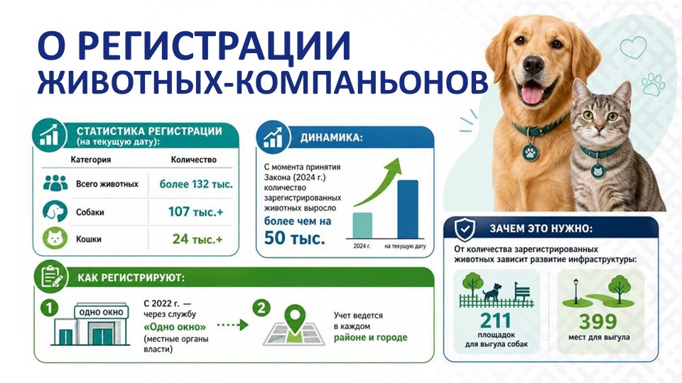 Слайд10