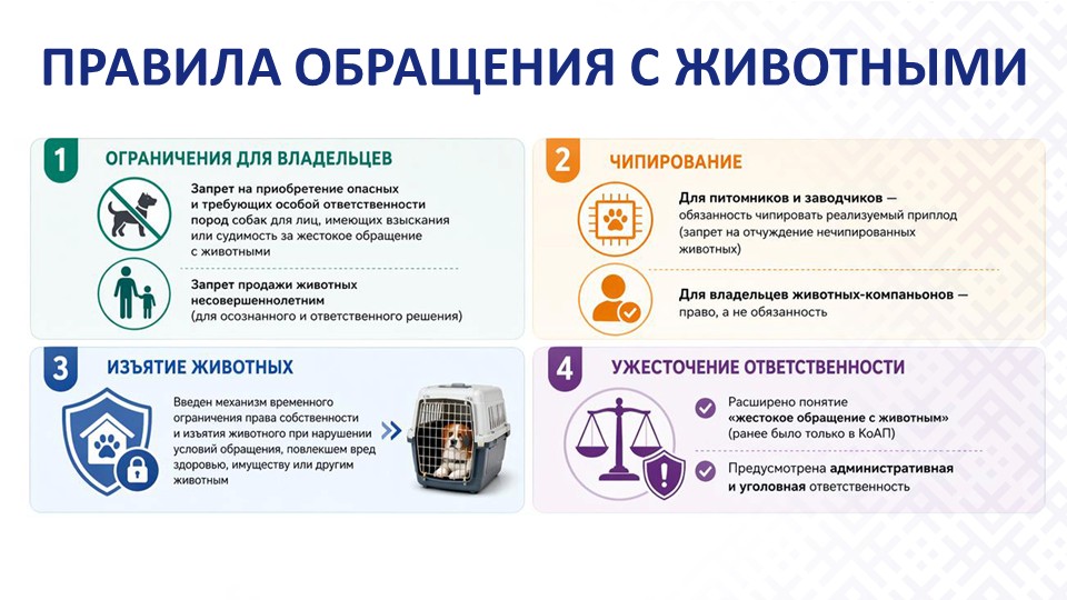 Слайд11