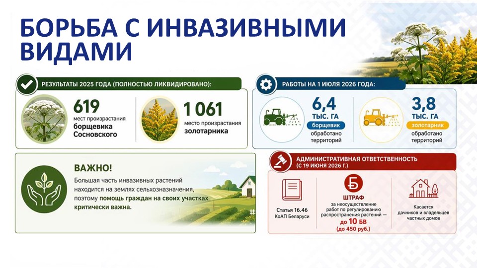 Слайд7