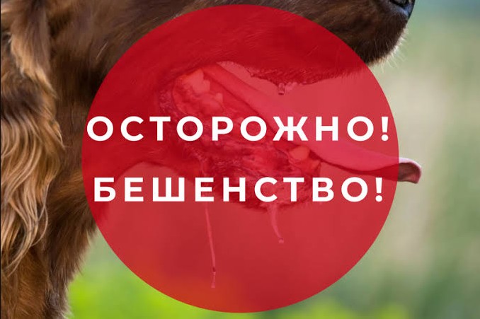 Важное о бешенстве!