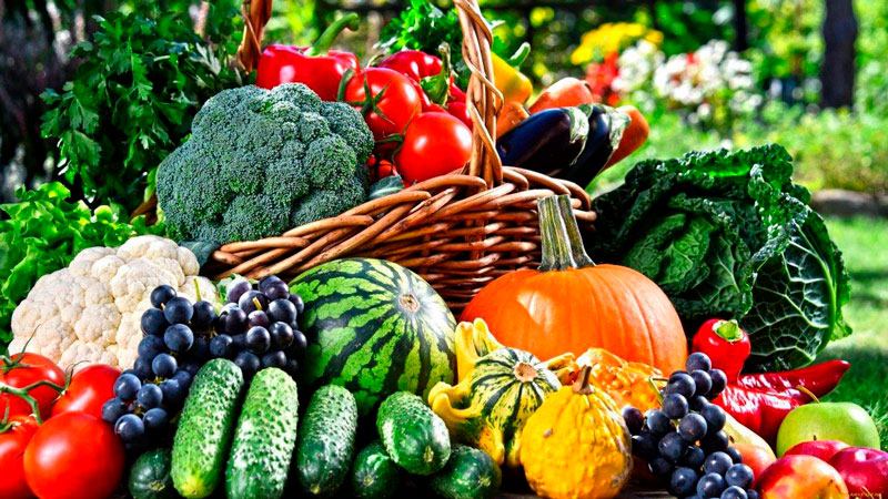 Летний сезон. Правила обработки растительных продуктов.