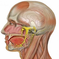 Невралгия тройничного нерва: симптомы и лечение